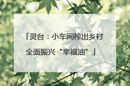 灵台：小车间榨出乡村全面振兴“幸福油”