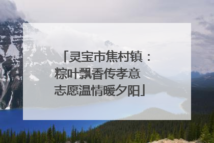 灵宝市焦村镇：粽叶飘香传孝意 志愿温情暖夕阳