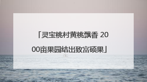 灵宝桃村黄桃飘香 2000亩果园结出致富硕果