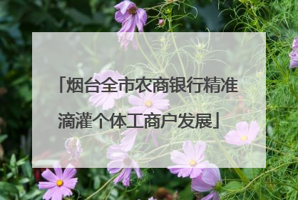 烟台全市农商银行精准滴灌个体工商户发展
