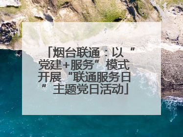 烟台联通：以“党建+服务”模式开展“联通服务日”主题党日活动