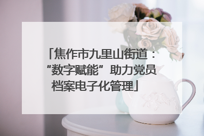 焦作市九里山街道：“数字赋能”助力党员档案电子化管理