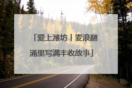 爱上潍坊丨麦浪翻涌里写满丰收故事