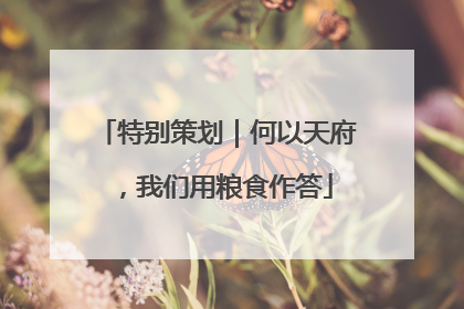 特别策划｜何以天府，我们用粮食作答