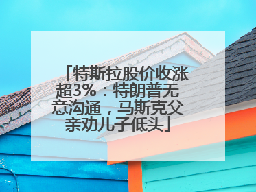 特斯拉股价收涨超3%：特朗普无意沟通，马斯克父亲劝儿子低头
