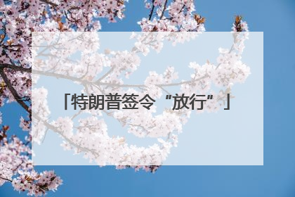特朗普签令“放行”