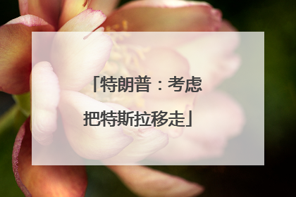 特朗普：考虑把特斯拉移走
