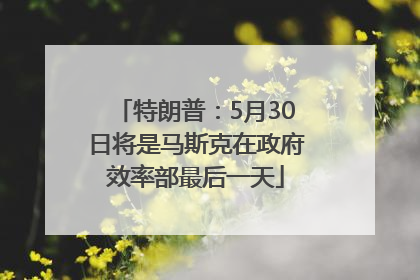 特朗普：5月30日将是马斯克在政府效率部最后一天