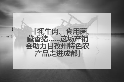 牦牛肉、食用菌、藏香猪……这场产销会助力甘孜州特色农产品走进成都