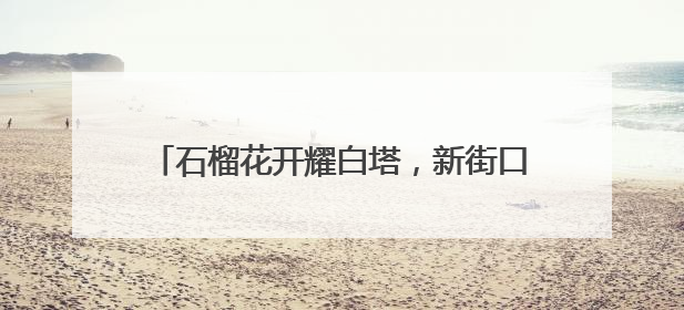 石榴花开耀白塔，新街口举办民族共同体宣传活动