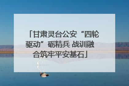 甘肃灵台公安“四轮驱动”砺精兵 战训融合筑牢平安基石