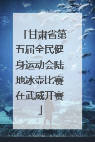 甘肃省第五届全民健身运动会陆地冰壶比赛在武威开赛
