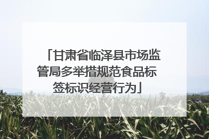 甘肃省临泽县市场监管局多举措规范食品标签标识经营行为