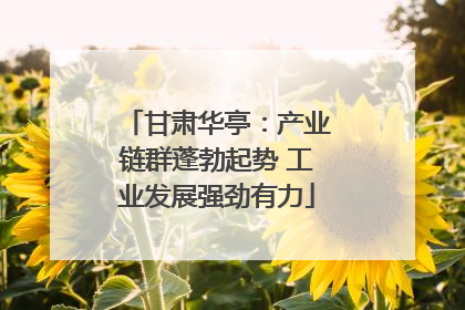 甘肃华亭：产业链群蓬勃起势 工业发展强劲有力