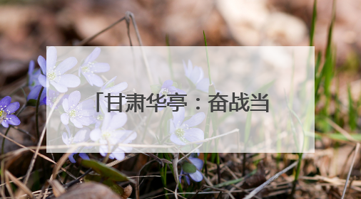 甘肃华亭：奋战当“夏” 打响项目建设攻坚大会战