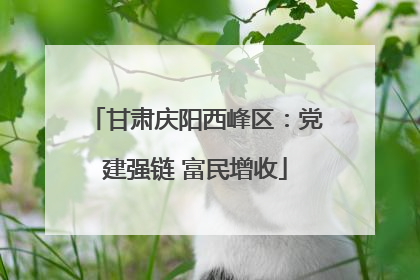 甘肃庆阳西峰区：党建强链 富民增收