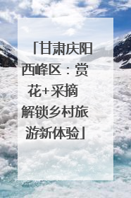 甘肃庆阳西峰区：赏花+采摘 解锁乡村旅游新体验