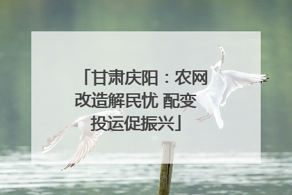 甘肃庆阳：农网改造解民忧 配变投运促振兴