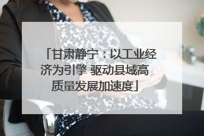 甘肃静宁：以工业经济为引擎 驱动县域高质量发展加速度