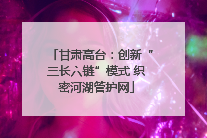 甘肃高台：创新“三长六链”模式 织密河湖管护网