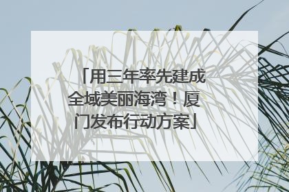 用三年率先建成全域美丽海湾！厦门发布行动方案