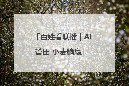 百姓看联播｜AI管田 小麦躺赢