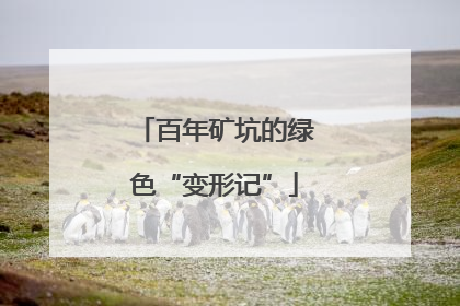 百年矿坑的绿色“变形记”