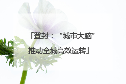 登封：“城市大脑”推动全城高效运转