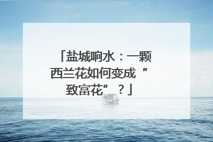 盐城响水：一颗西兰花如何变成“致富花”？
