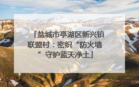 盐城市亭湖区新兴镇联盟村：密织“防火墙”守护蓝天净土