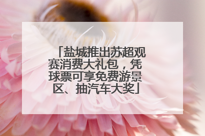 盐城推出苏超观赛消费大礼包，凭球票可享免费游景区、抽汽车大奖