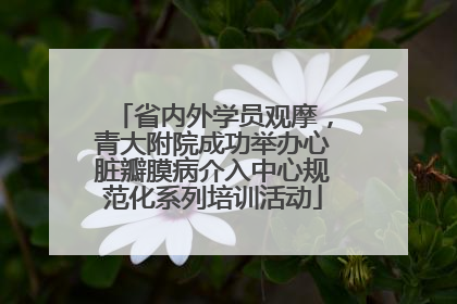 省内外学员观摩，青大附院成功举办心脏瓣膜病介入中心规范化系列培训活动