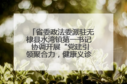 省委政法委派驻无棣县水湾镇第一书记 协调开展“党建引领聚合力，健康义诊惠乡亲”义诊活动