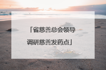 省慈善总会领导调研慈善发药点