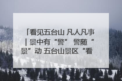 看见五台山 凡人凡事｜景中有“警” 警随“景”动 五台山景区“看得见”的平安守护