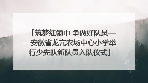 筑梦红领巾 争做好队员——安徽省龙亢农场中心小学举行少先队新队员入队仪式