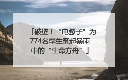 破壁！“电骡子”为774名学生筑起暴雨中的“生命方舟”