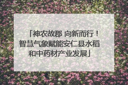 神农故郡 向新而行！智慧气象赋能安仁县水稻和中药材产业发展