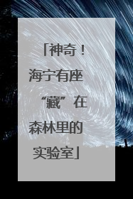 神奇！海宁有座“藏”在森林里的实验室