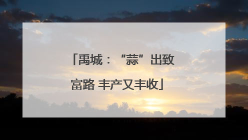 禹城：“蒜”出致富路 丰产又丰收