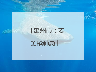禹州市：麦罢抢种急