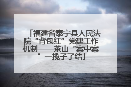 福建省泰宁县人民法院“背包红”党建工作机制——茶山“案中案”一揽子了结