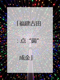 福建古田：点“菌”成金