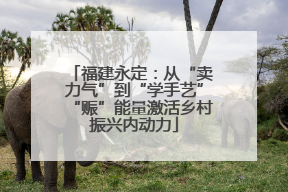 福建永定：从“卖力气”到“学手艺”“赈”能量激活乡村振兴内动力