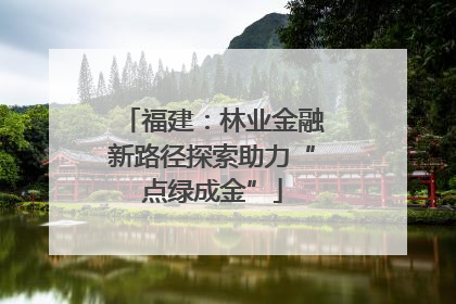 福建：林业金融新路径探索助力“点绿成金”