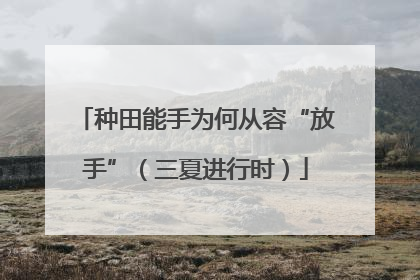 种田能手为何从容“放手”（三夏进行时）