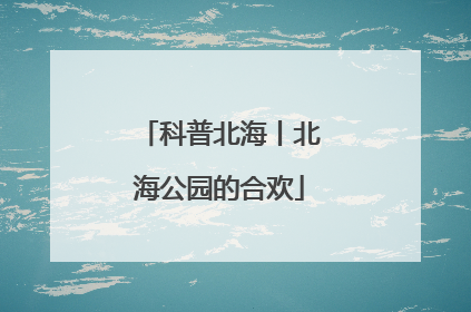科普北海丨北海公园的合欢