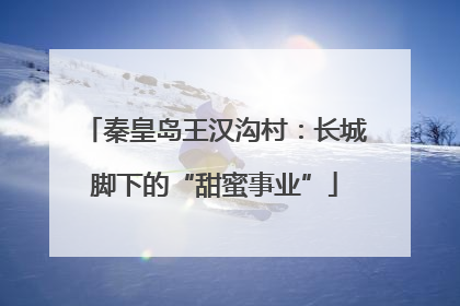 秦皇岛王汉沟村：长城脚下的“甜蜜事业”