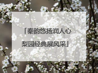 秦韵悠扬润人心 梨园经典展风采