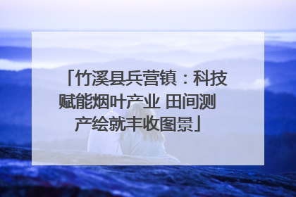 竹溪县兵营镇：科技赋能烟叶产业 田间测产绘就丰收图景